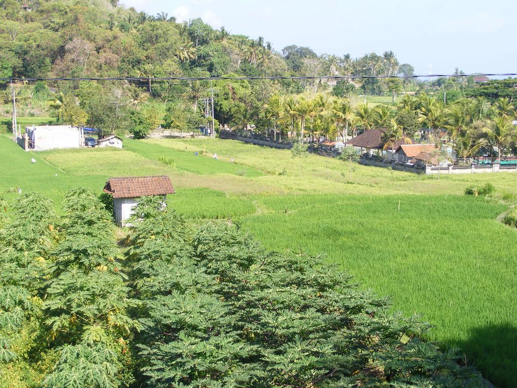 Wahyu Dewata Hotel Payangan Buitenkant foto