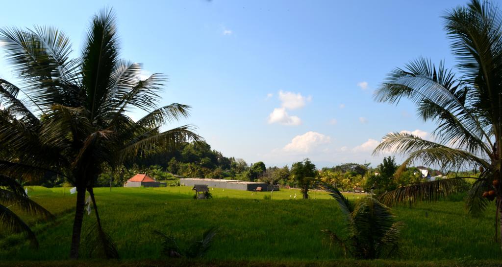 Wahyu Dewata Hotel Payangan Buitenkant foto