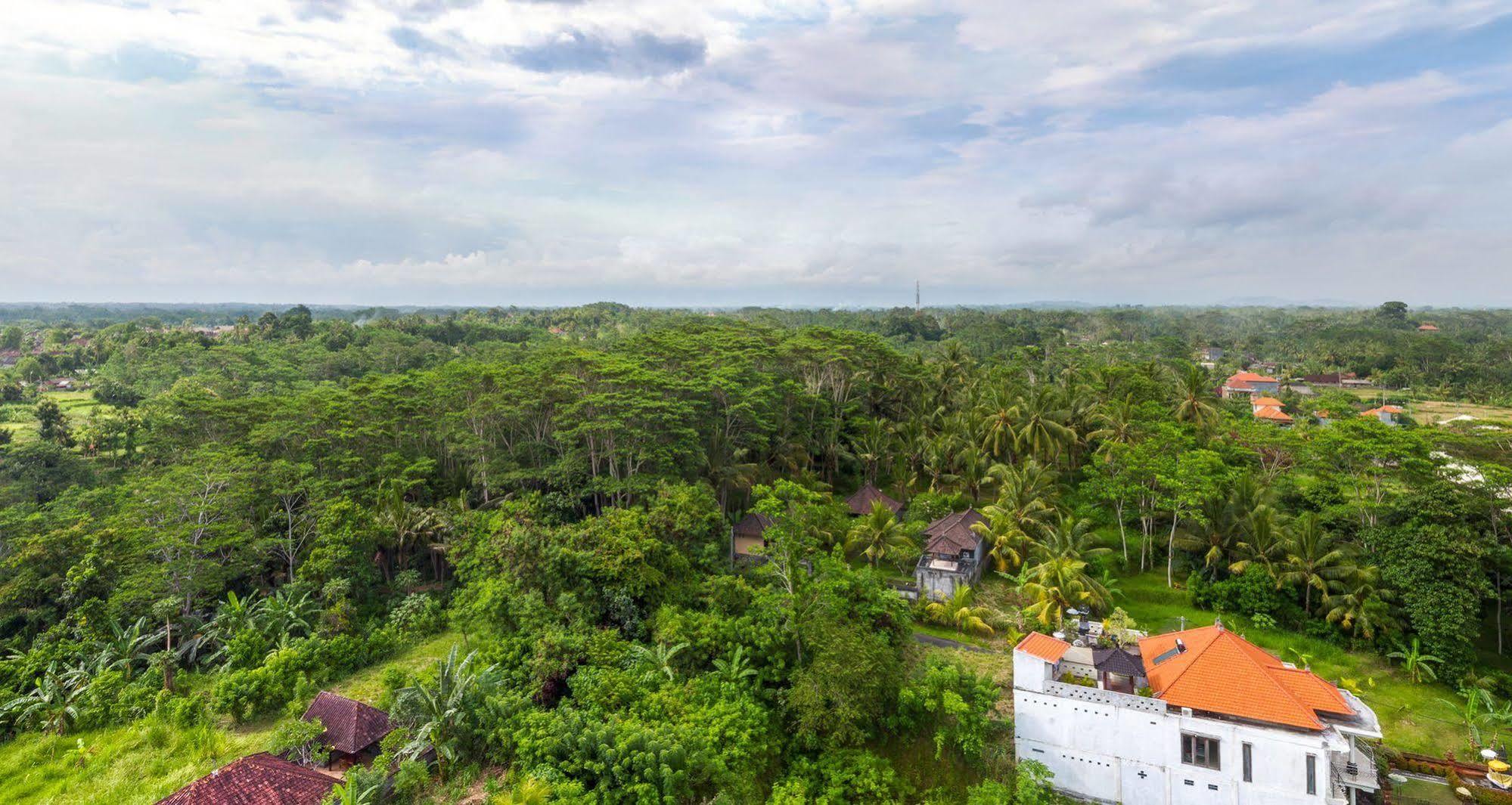 Wahyu Dewata Hotel Payangan Buitenkant foto