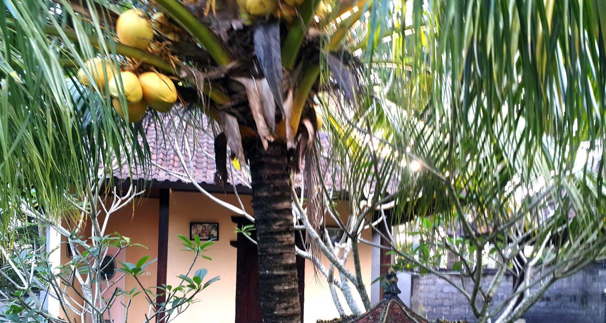 Wahyu Dewata Hotel Payangan Buitenkant foto